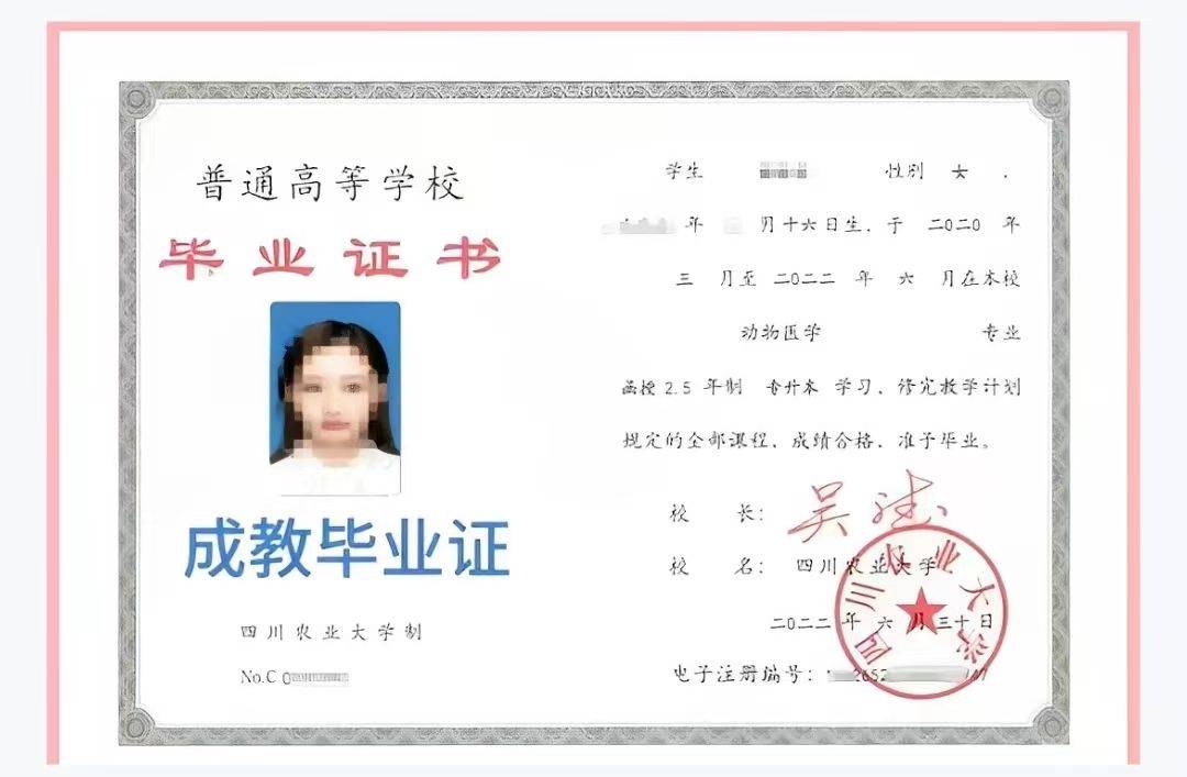 大专证书丢了可以补吗