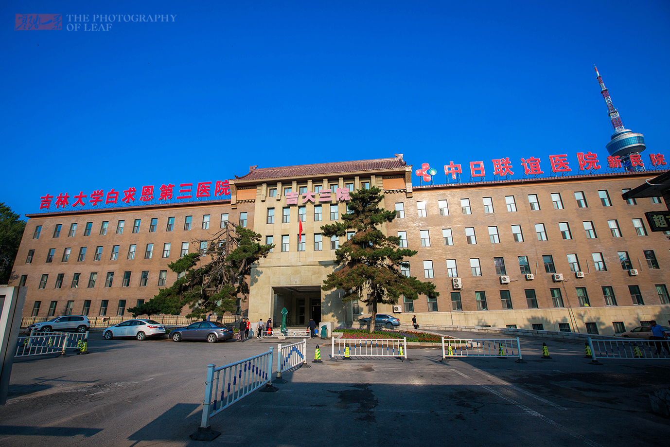 吉林大学文凭的弊端与优势