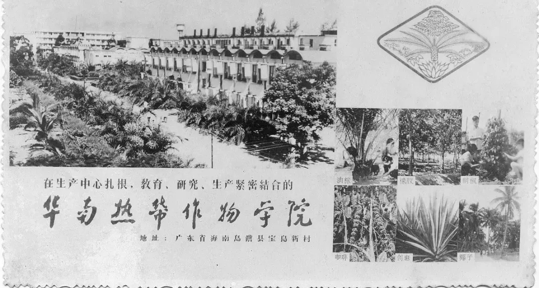 海南大学文凭含金量