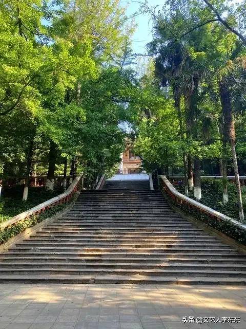 云南大学历档学院