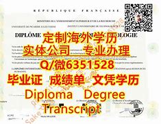 新疆大学文凭在上海认可吗
