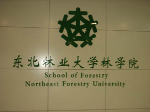 东北林业大学毕业证图片
