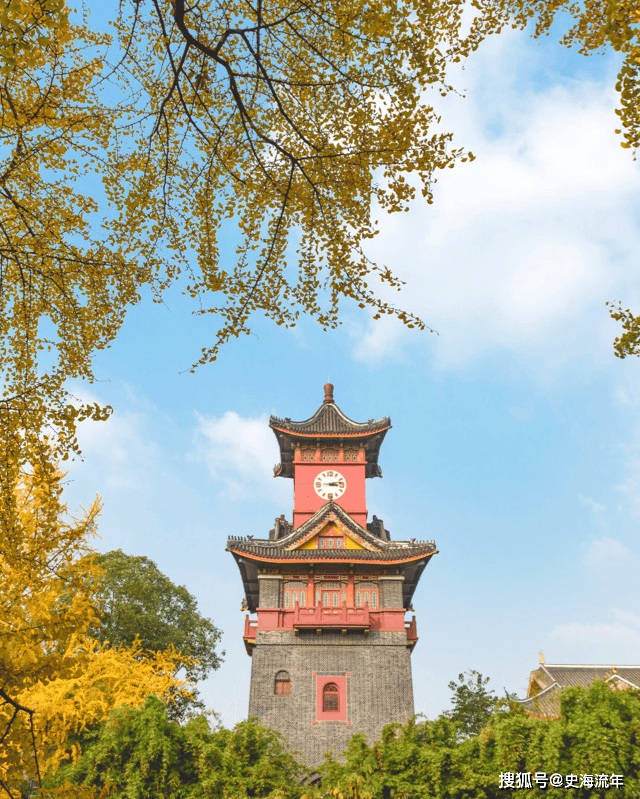 四川大学王天利课题组发表研究