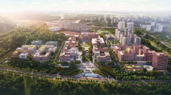 湖南大学本科招生网