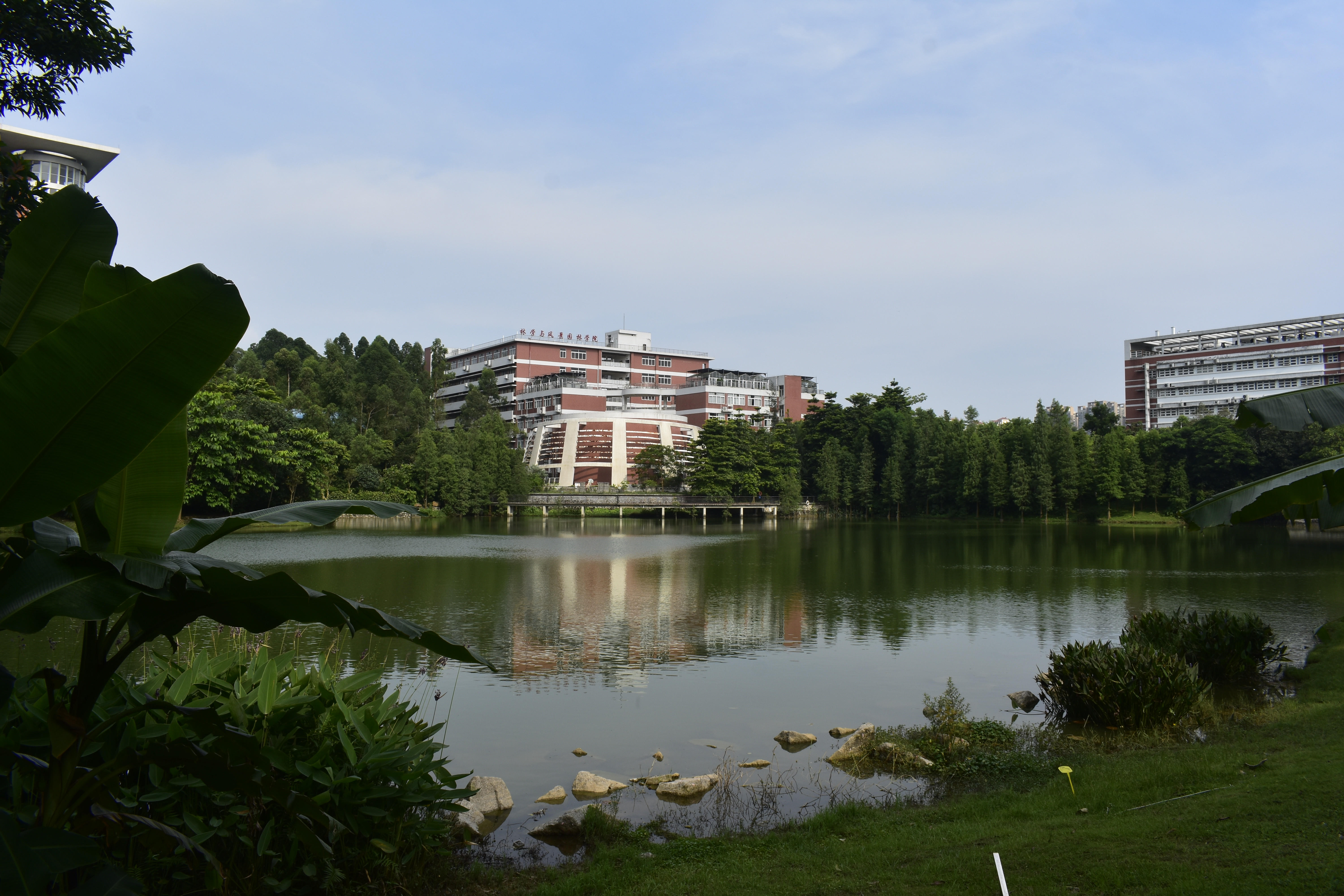 华南农业大学官网