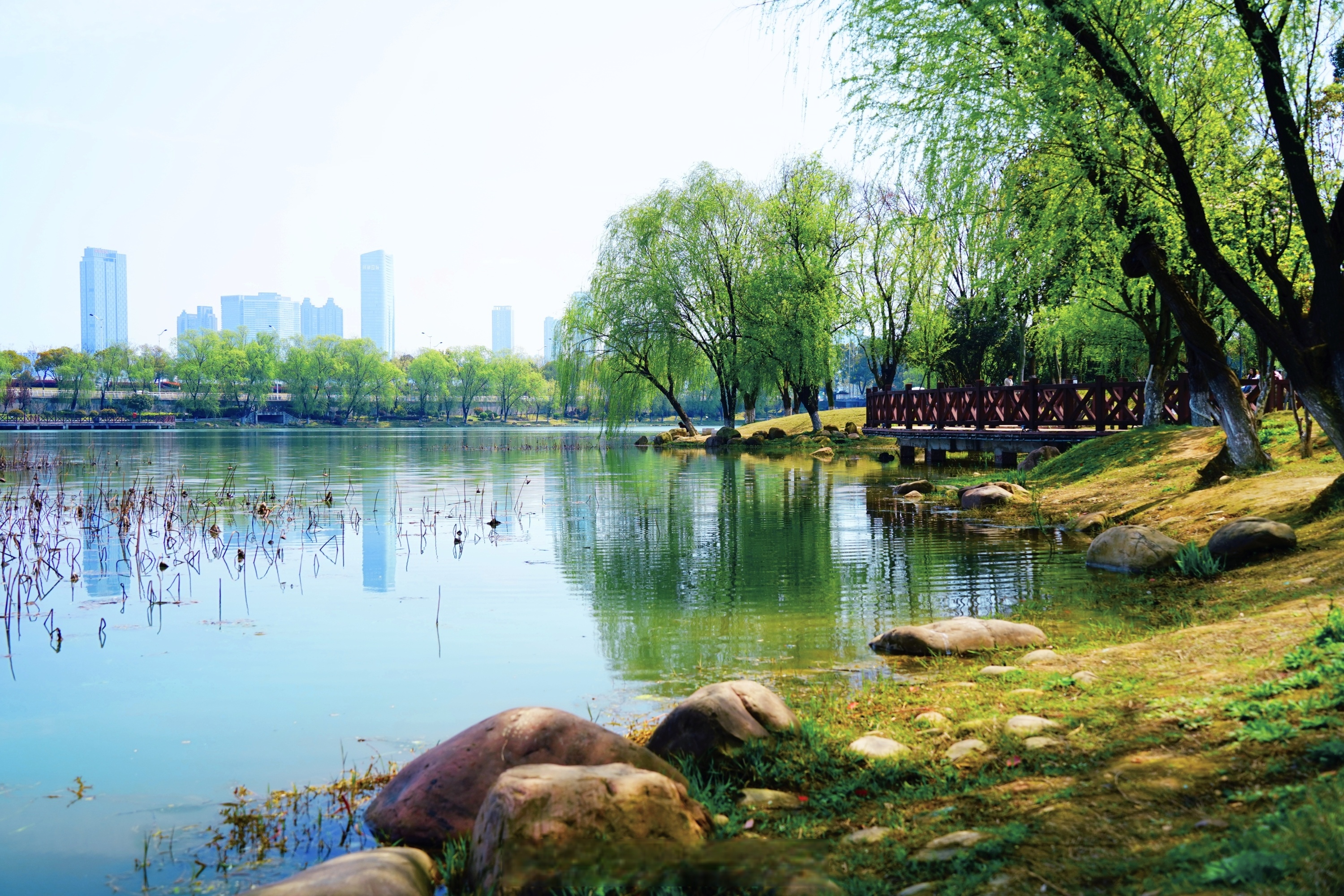 湖南师范大学2025录取分数线